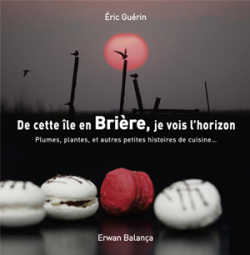 Livre_couverture_de-cette-ile-en-briere-je-vois-l-horizon_eric-guerin_erwan-balanca