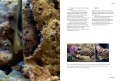 pages 40 et 41 du livre Migrations : voyages, émotions, cuisine du chef étoilé Eric Guerin sorti aux éditions de La Martinière